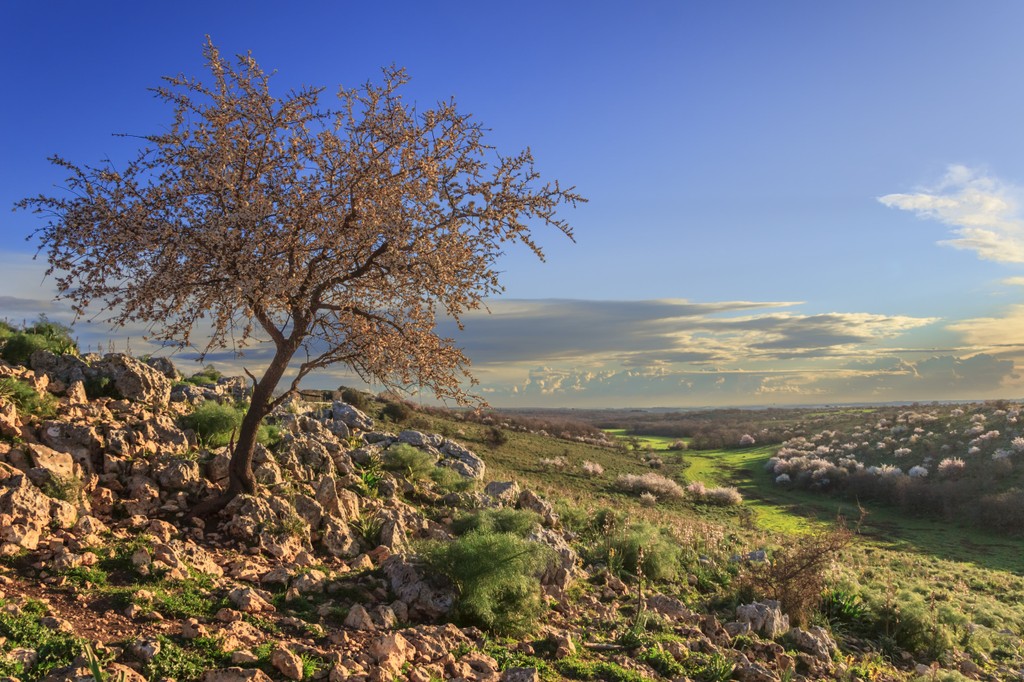 The open landscape of the Alta Murgia National Park