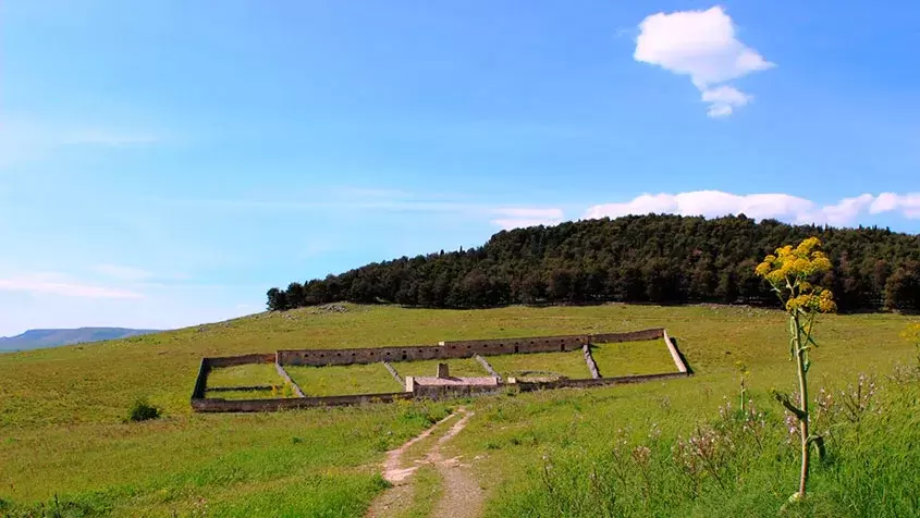 Open fields and low hills of the Murgia