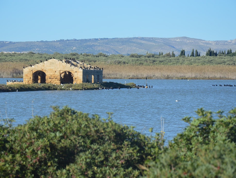 Nature Reserve of Vendicari - Sicily